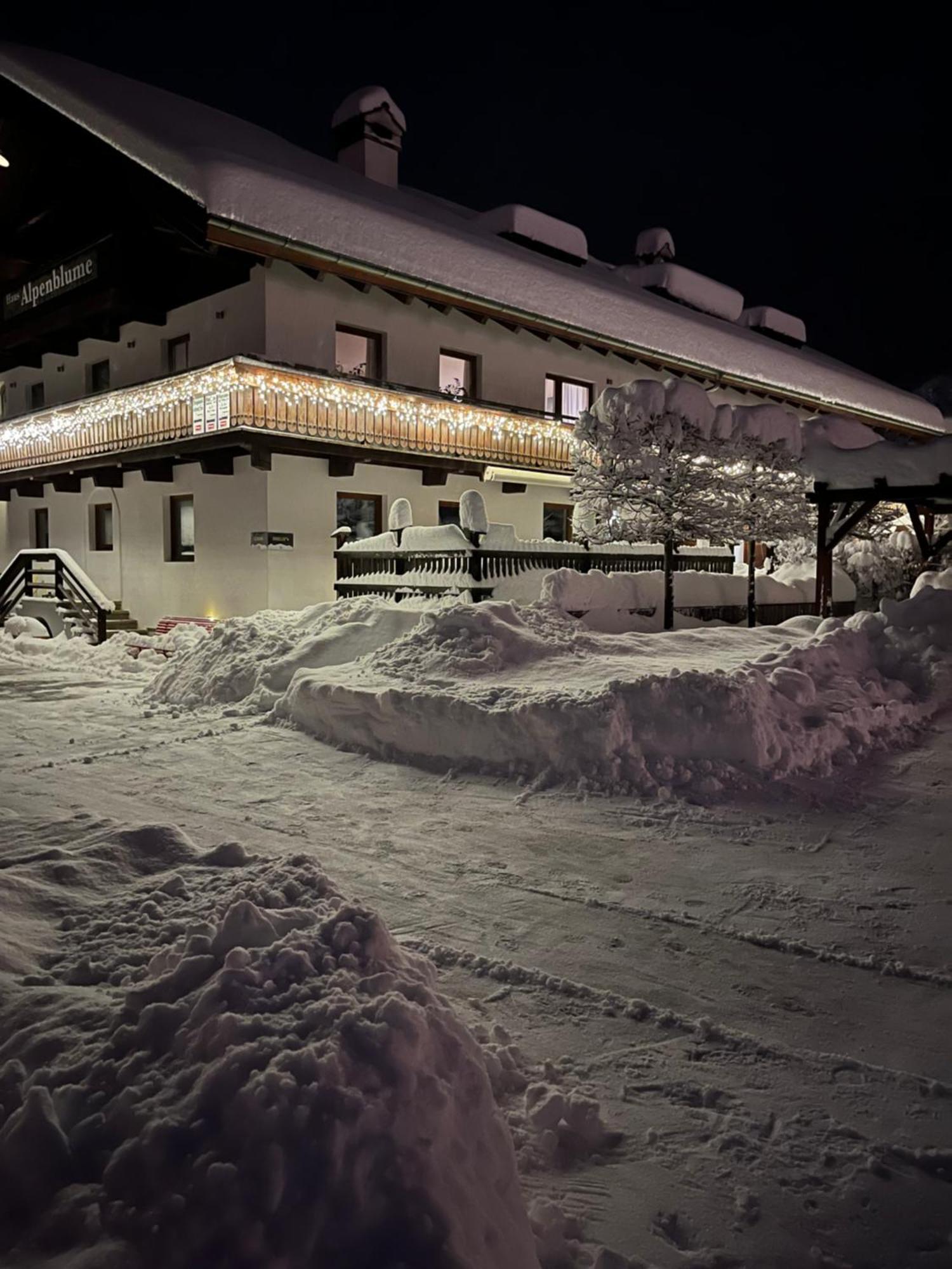 Haus Alpenblume Apartment Ehrwald Exterior foto